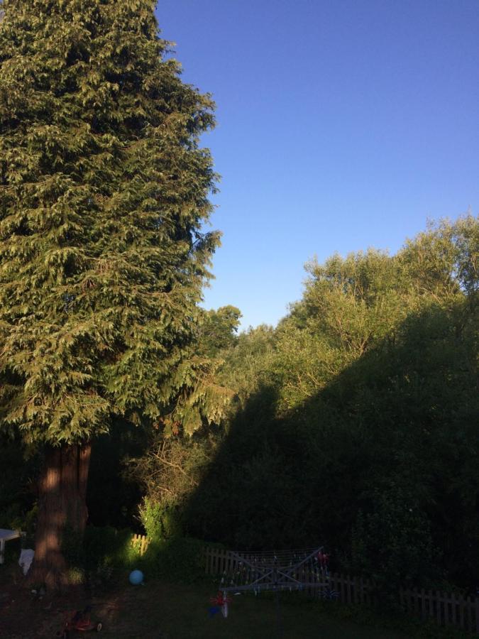 Fairlawn Bed & Breakfast Bishops Waltham Luaran gambar